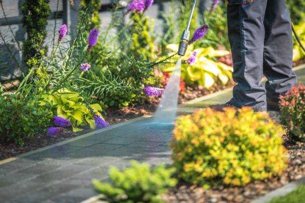 Best Sidewalk and Walkway Cleaning  in Rosemount, OH