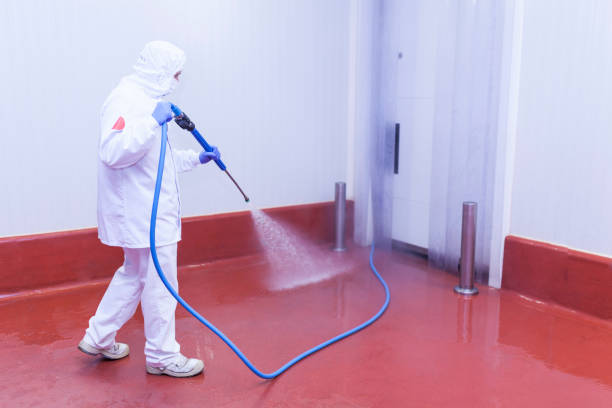 Paint Preparation in Rosemount, OH