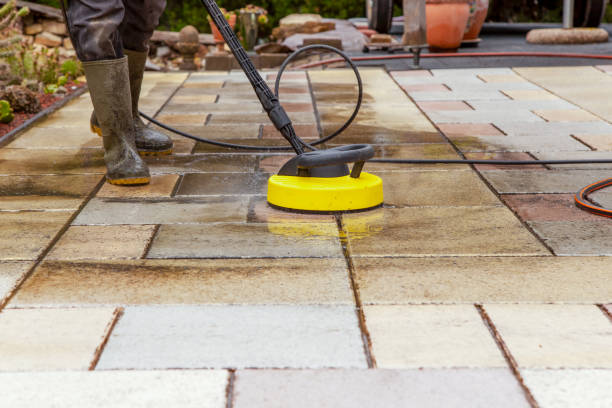 Best Animal Enclosure Cleaning  in Rosemount, OH